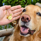 Furever Paw Necklace