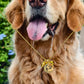 Furever Paw Necklace