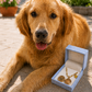 Furever Paw Necklace