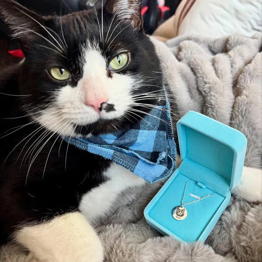 （Page Build Test) Furever Paw Necklace