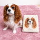 Personalized Pet Portrait Wrap